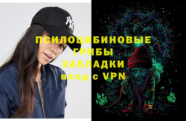 сатива Гусев