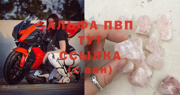 сатива Гусев