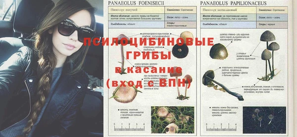 прущая мука Гусь-Хрустальный