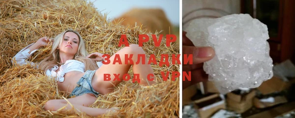 сатива Гусев