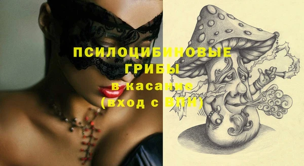 сатива Гусев