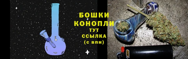 сатива Гусев