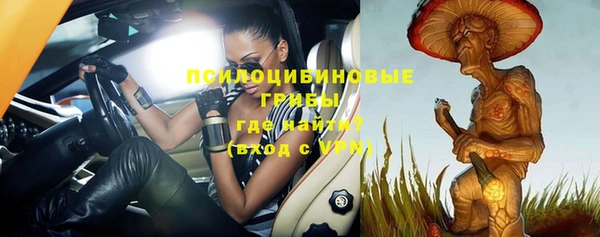прущая мука Гусь-Хрустальный