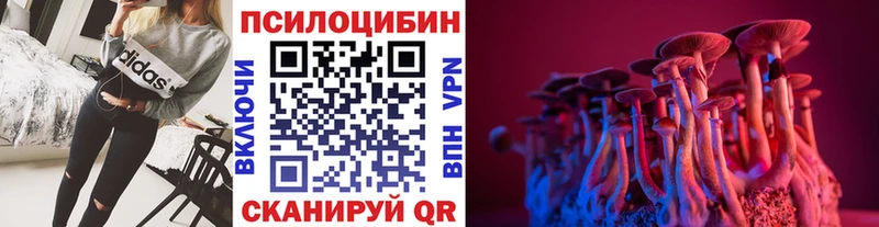 Псилоцибиновые грибы GOLDEN TEACHER  Саранск 